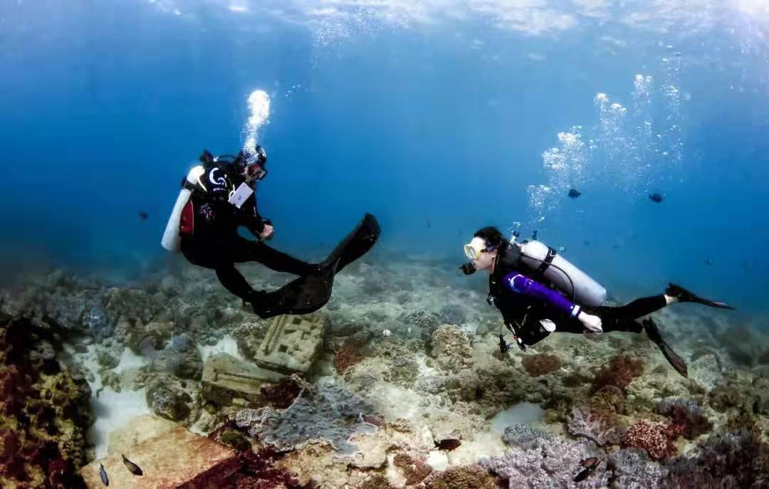 虫虫助手下载